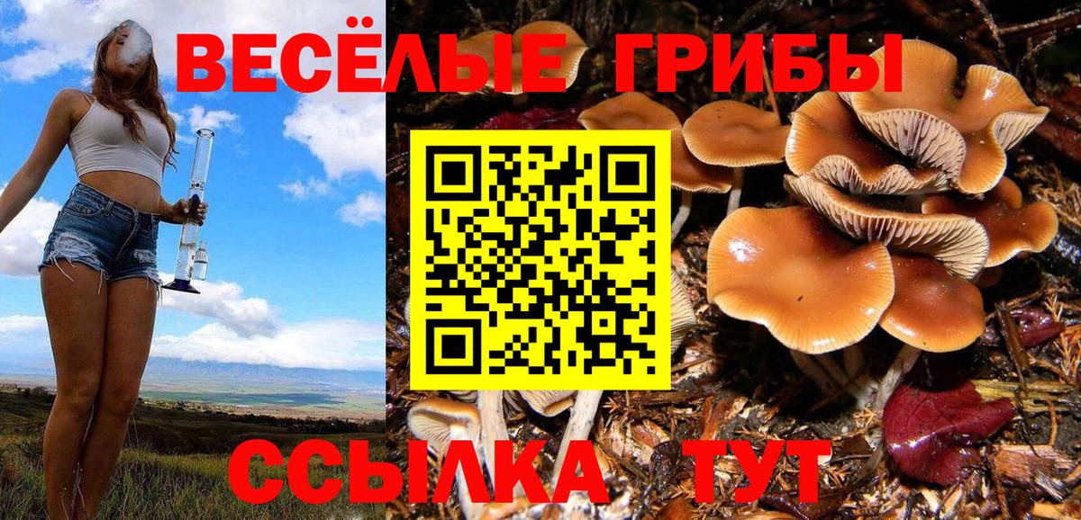 Галлюциногенные грибы мухоморы  Вход с VPN  Нижний Новгород  Галлюциногенные грибы Psilocybe 